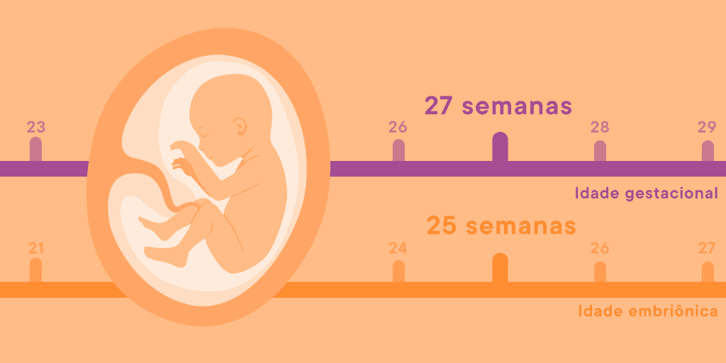 Dá para engravidar programando a data de nascimento?